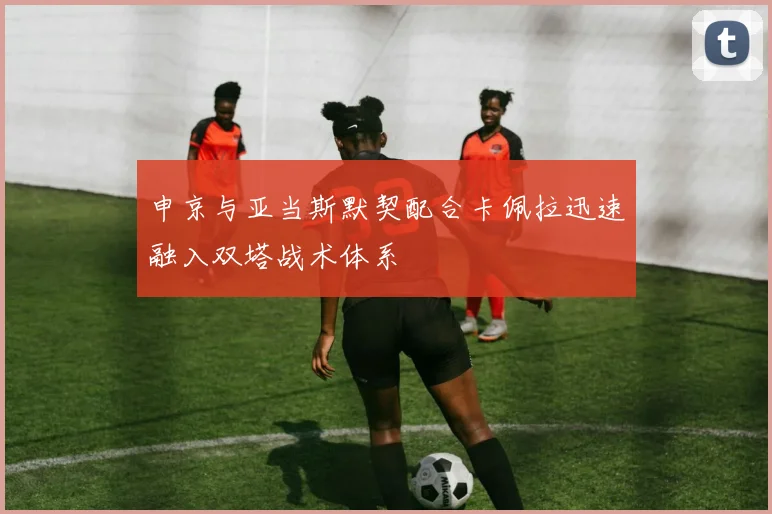 申京与亚当斯默契配合卡佩拉迅速融入双塔战术体系