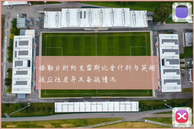 福勒分析约克雷斯比舍什科与英超适应性差异及备战情况