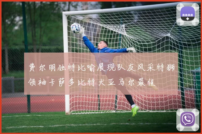 费尔明独特比喻展现队友风采特狮领袖卡萨多比特犬亚马尔最佳