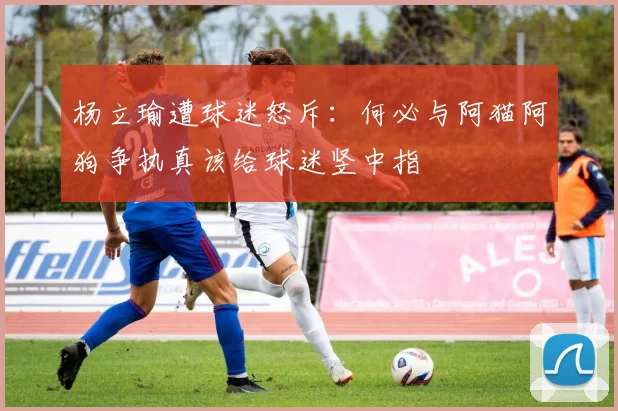 杨立瑜遭球迷怒斥：何必与阿猫阿狗争执真该给球迷竖中指