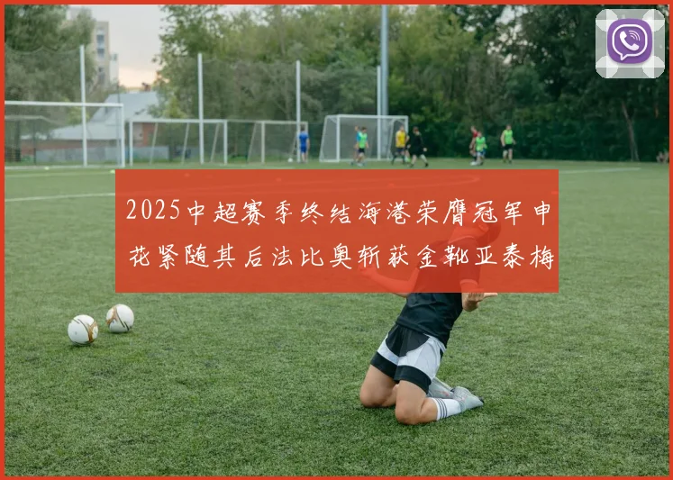 2025中超赛季终结海港荣膺冠军申花紧随其后法比奥斩获金靴亚泰梅州遗憾降级