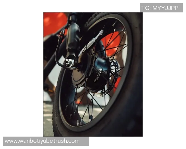 卢卡为队友Pedal送上全轮驱动S系列双电机车最高时速可达36英里 卢卡为队友Pedal送上全轮驱动S系列双电机车最高时速可达36英里